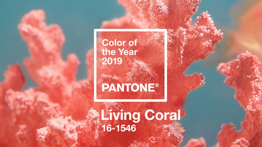 2019 metų spalva pagal “Pantone” – koralinė